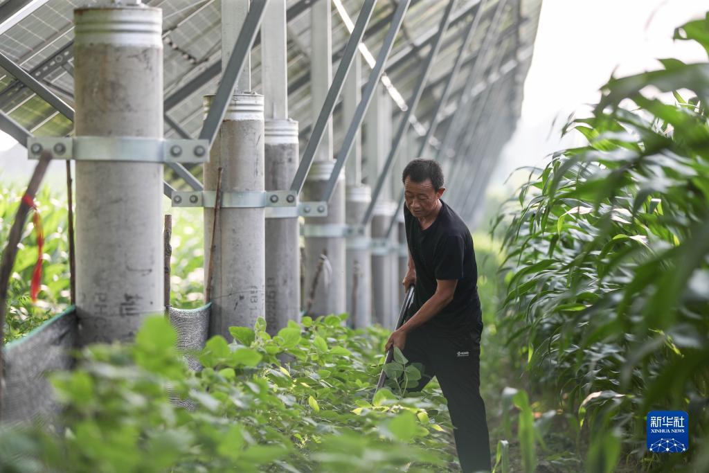 斗牛游戏大平台